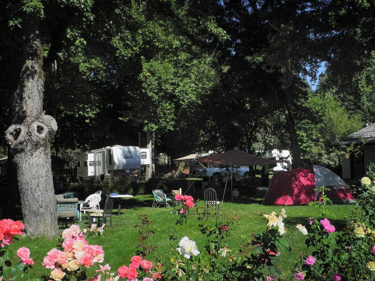 Bigfoot Rv & Cabins Park Happy Camp Kültér fotó